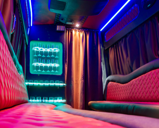 Vilnius Party Bus