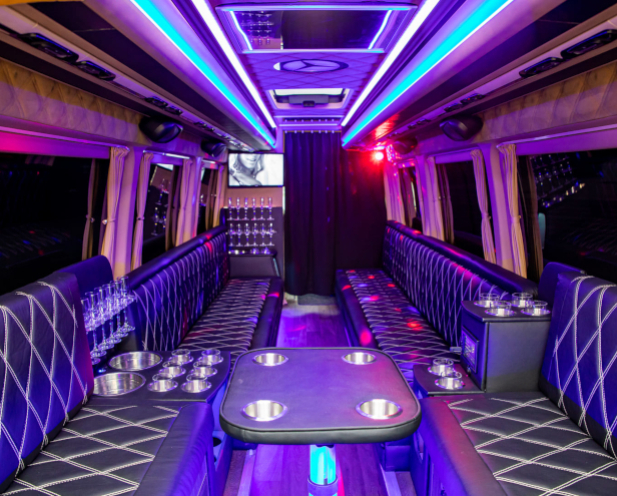 Vilnius Party Bus